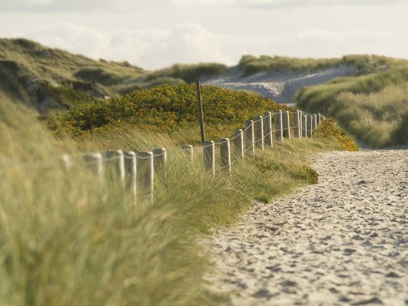 Callantsoog LekkerNaarZee
